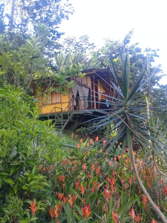 Sonarte Reserva Natural Cordoba (Quindio) Exterior foto