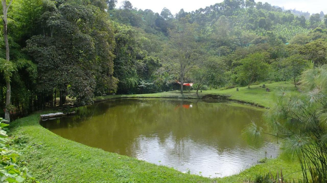 Sonarte Reserva Natural Cordoba (Quindio) Exterior foto