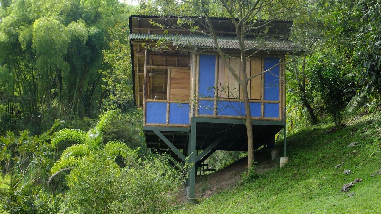 Sonarte Reserva Natural Cordoba (Quindio) Exterior foto