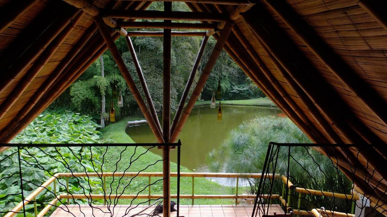 Sonarte Reserva Natural Cordoba (Quindio) Exterior foto