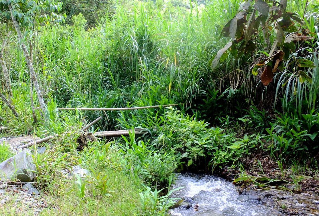 Sonarte Reserva Natural Cordoba (Quindio) Exterior foto