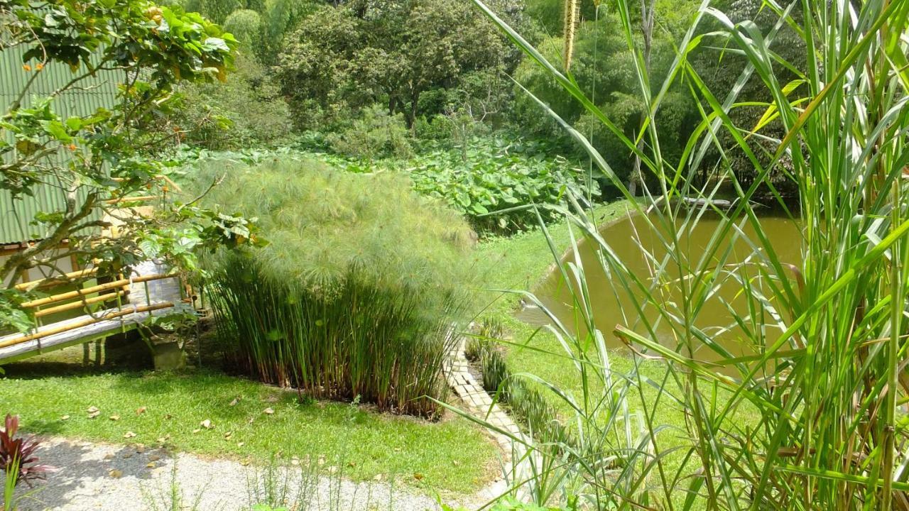 Sonarte Reserva Natural Cordoba (Quindio) Exterior foto
