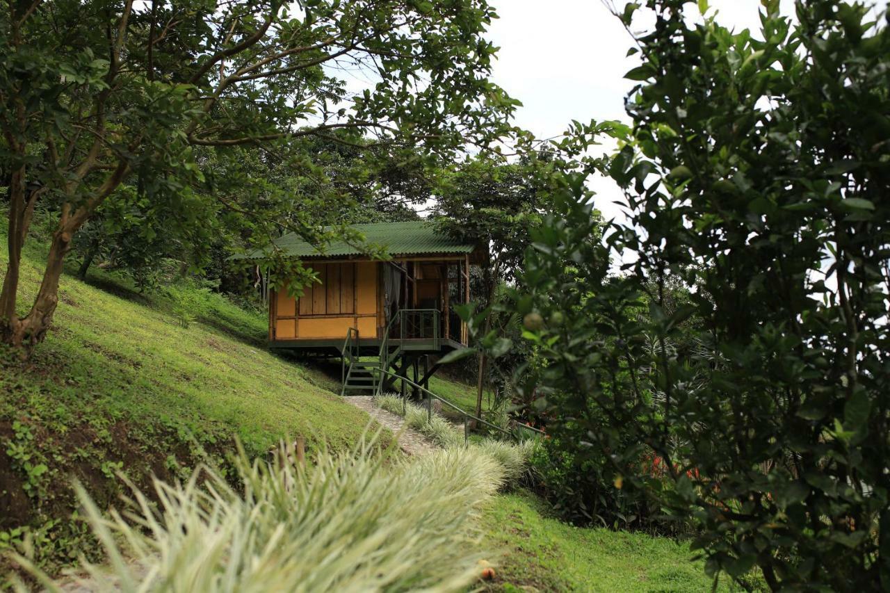 Sonarte Reserva Natural Cordoba (Quindio) Exterior foto